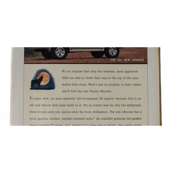 National Geographic May 1996 Dinosaur Eggs Cover Vol 189 No 5 - Picture 8 of 10